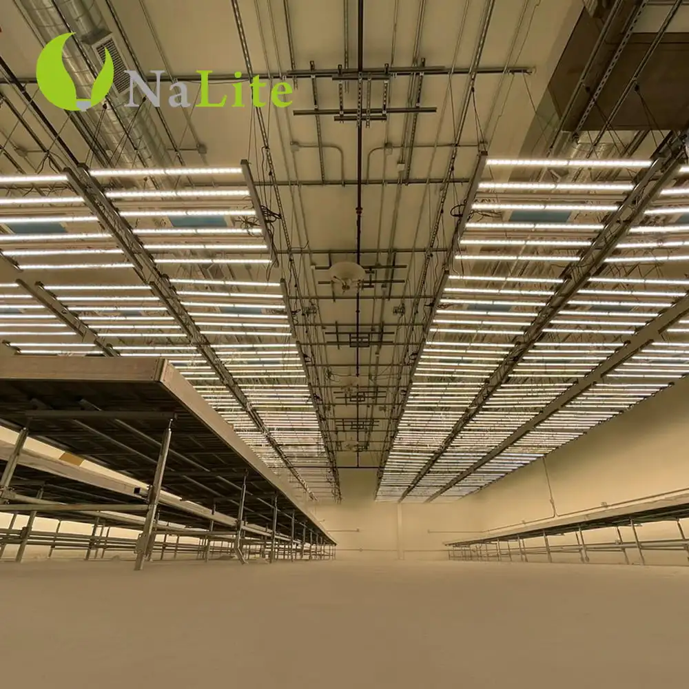 Grow Rack Tray Multilayers 4X4 Table Flood Drain Trays Rolling Bench Equipment Accessories For Plants