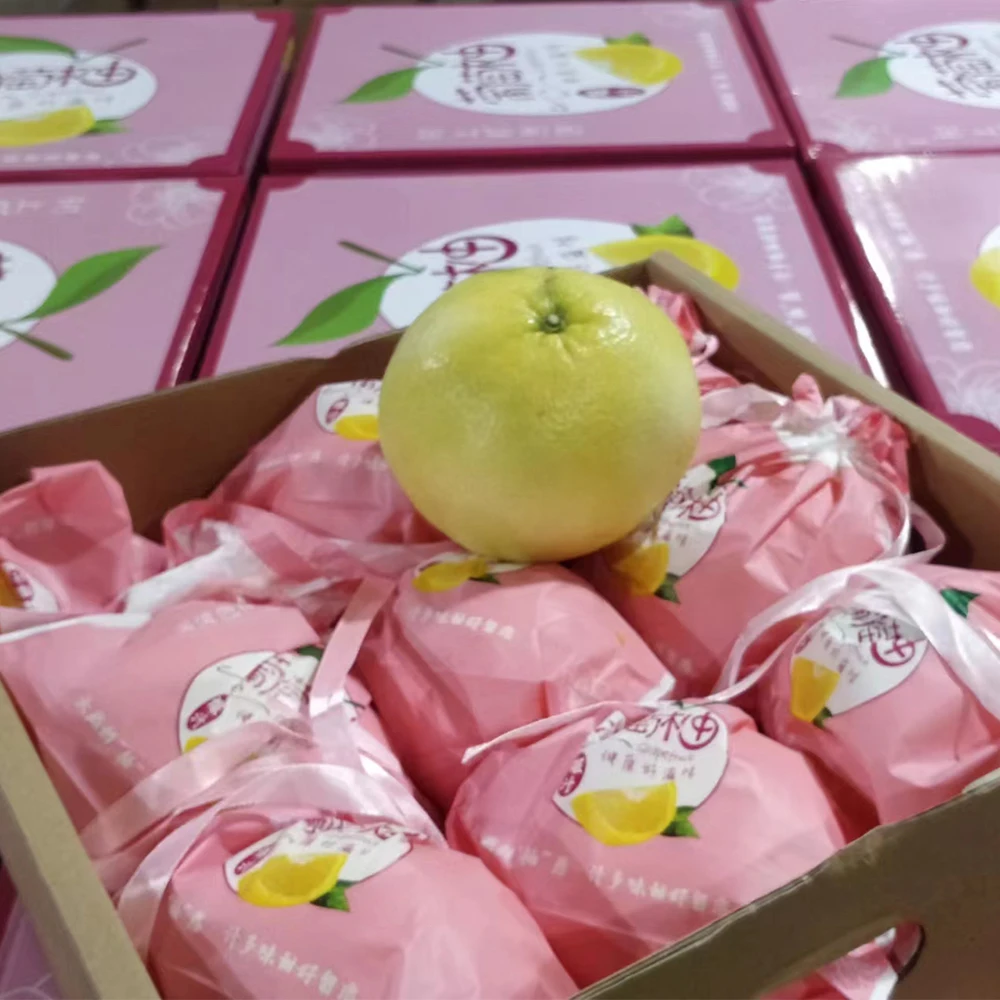 Sweet Juicy Grapefruit Fresh Fruit China Mini Pomelo Price