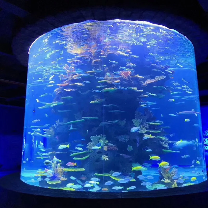 Wholesale hot sell acrylic fish tank/large aquarium for sale,aquarium jellyfish,aquarium decoration