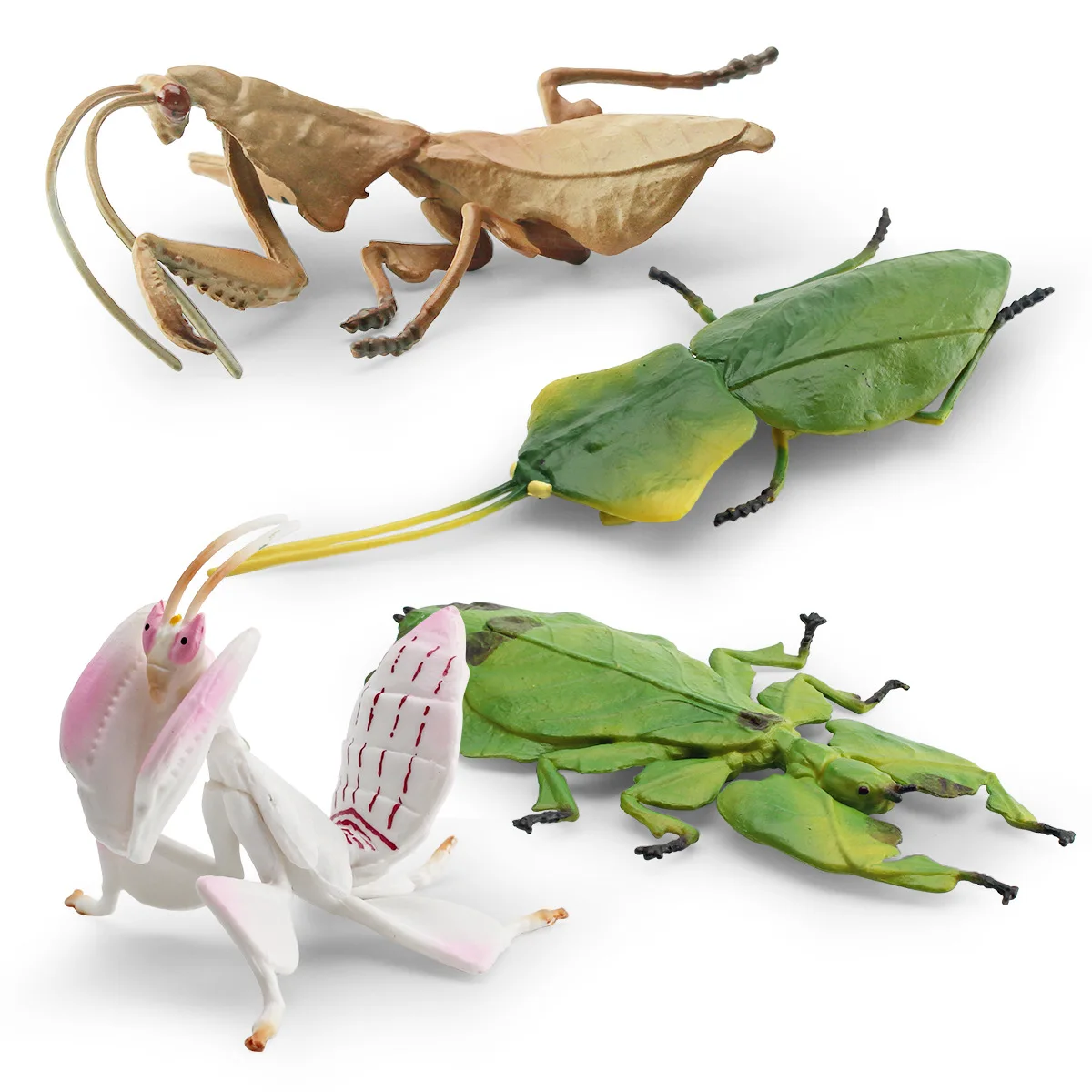simulation of insect animal model Mantis Skelleri leaf  orchid mantis decoration