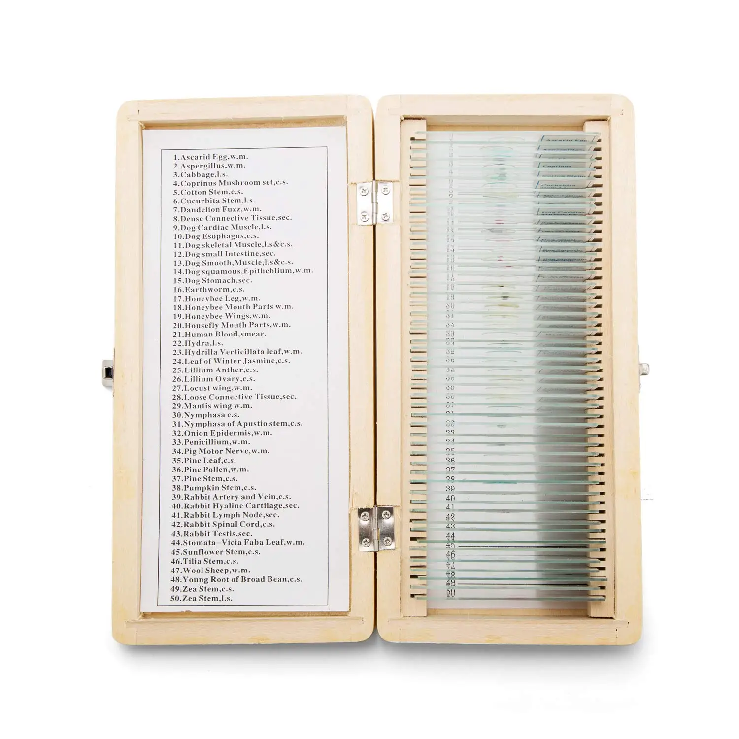 Microbiology Prepared Microscope Slides with Specimen used Medicine Education