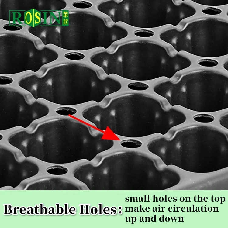 Customized seedling tray 288 Cells Polystyrene Black PS Plastic Nursery Seed Starter Tray  Mold With Dome