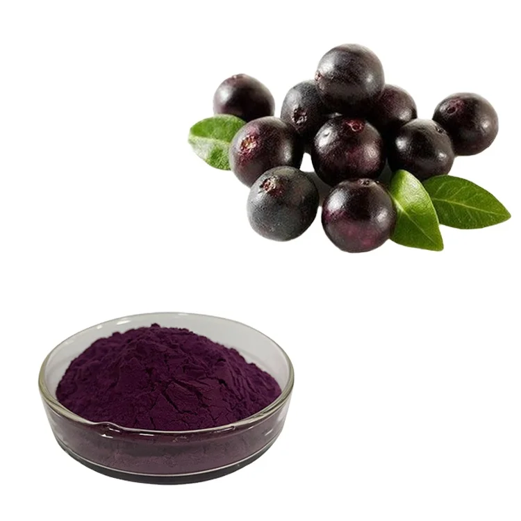Water Soluble Fruit Powder Acai Berry Extract Powder Acai Juice Powder