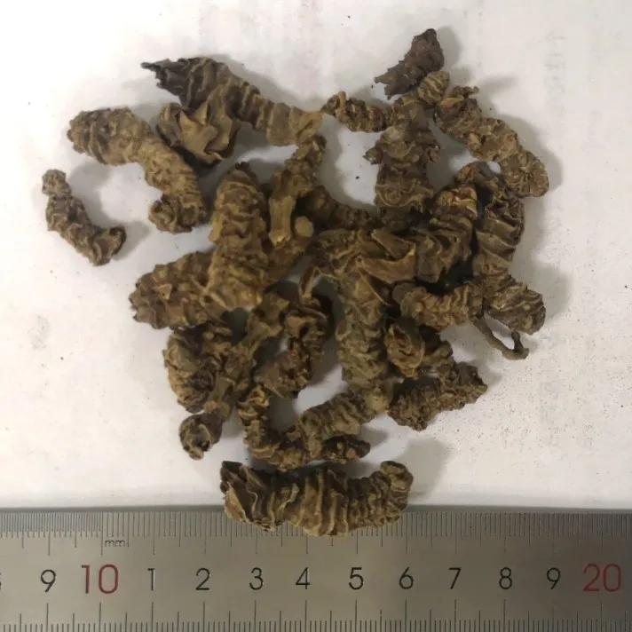 
Dried natural wild Valerian Root herbal tea for helping sleeping 