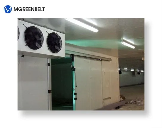 Компрессор Bitzer одна остановка холодной комнаты с подгонянным размером
