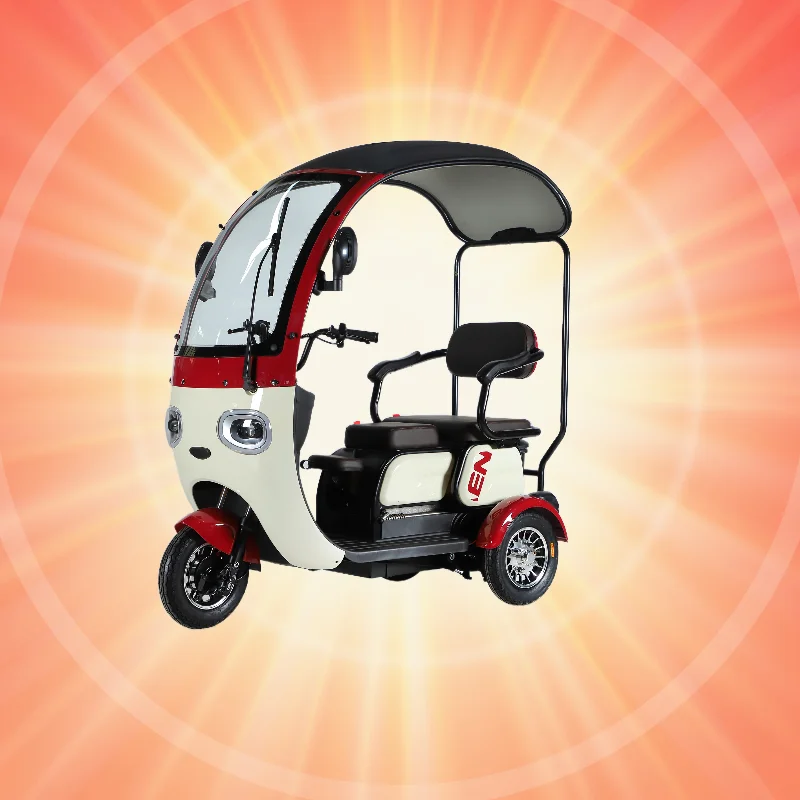 Semi-enclosed electric leisure tricycle with shed two-person tricycle with baby seat dual-purpose tricycle