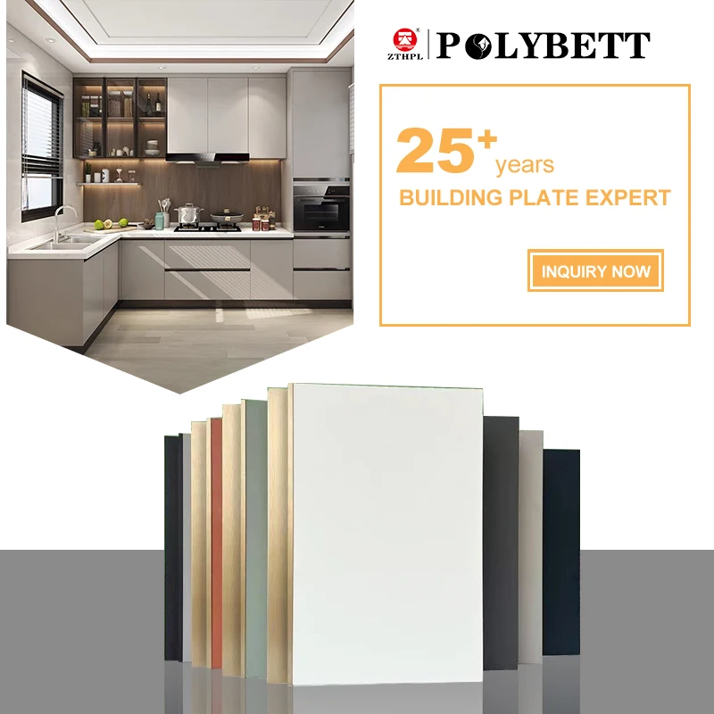 Modern European Style Luxury Home Furniture Solid Wood/plywood/melamine board  Modular Cabinets Kitchen Cabinet Storage