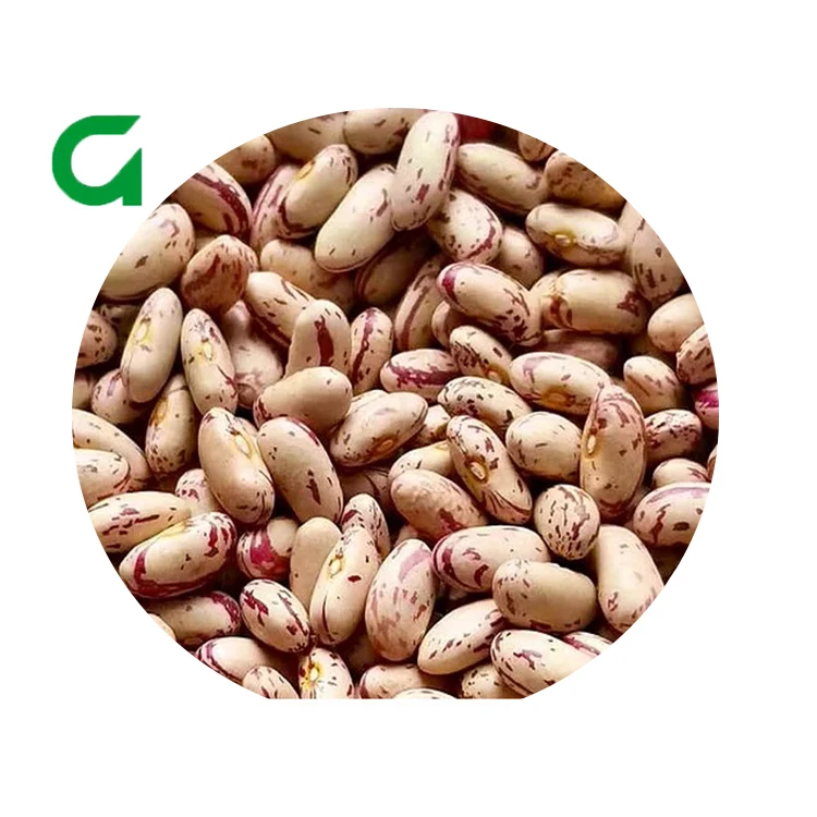 
Organic Pinto Beans Sugar Beans Light Speckled Kidney Beans 