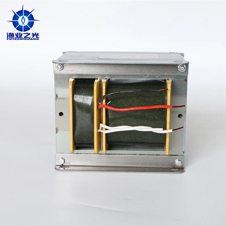 2019 fishing lights fashion popular 2000W metal ballast