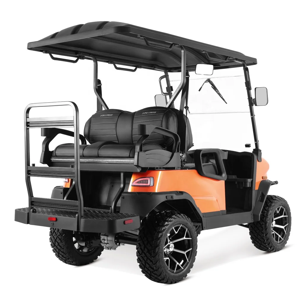 Tao Motor 2024 Chinese New Design 48v Lithium Battery Utility High Quality Electric Golf Cart