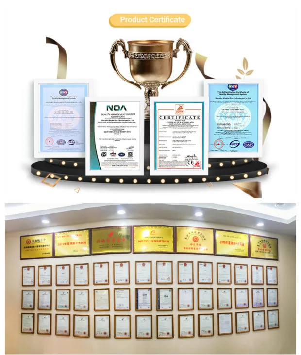 Automatically Dpf Cleaning Regeneration Machine Cleaning Dpf For Car Maintenance Equipment