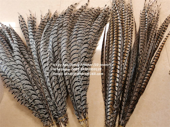 90-100cm Lady Amherst Center Tail Feathers Popular Pheasant Feathers for Carnival Costumes