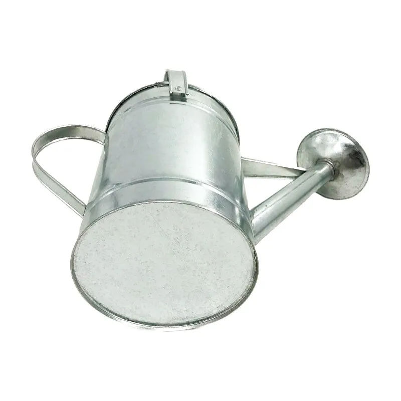 Wholesale Garden Water Cans 3 4 5L Long Spout Galvanized Steel and Zinc Outdoor agricultural Plants Watering Can