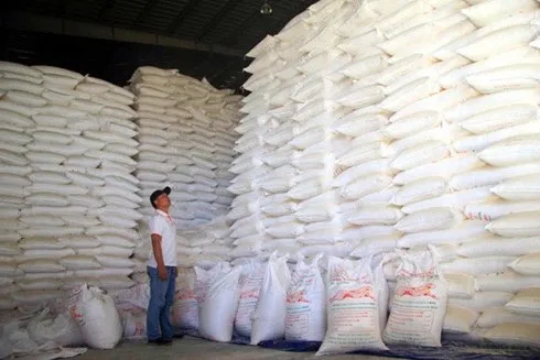Wholesale Top Quality CASSAVA STARCH / TOPIOCA STARCH From Viet Nam
