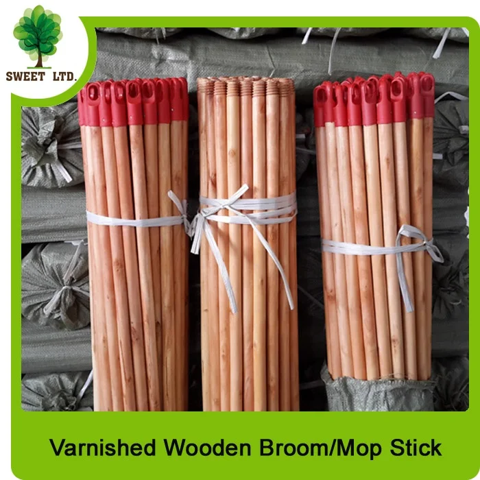 outdoor brush with long handle painting