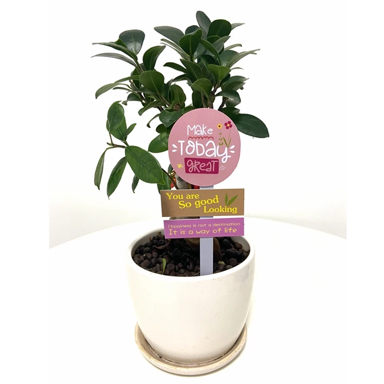  Blessing Planter Decoration Flower Pot Picks Accessories Garden Plant Sticks For anti-mold mother day decor new