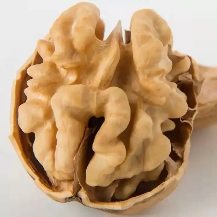 High Quality Thin Skin Raw Organic Grade A Walnut Kernels In Bulk