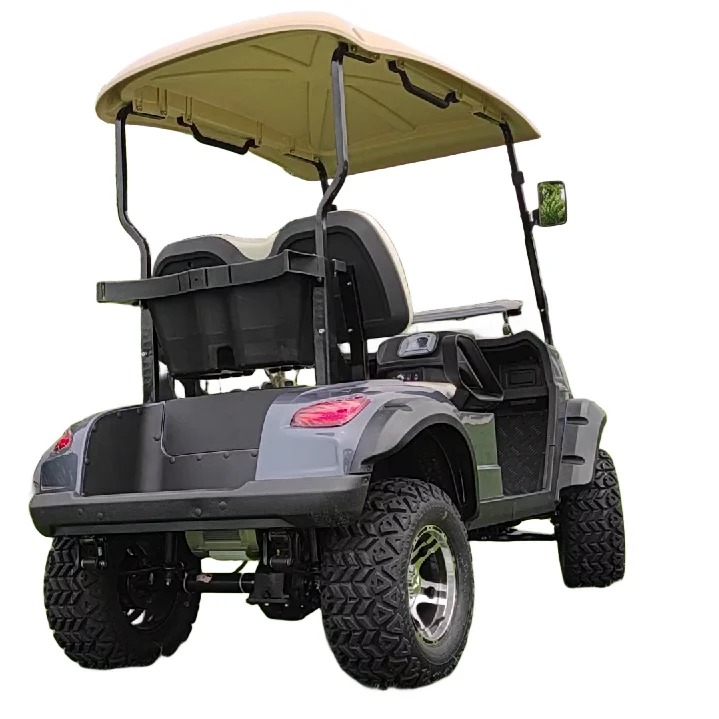 Golf car  New Golf Electric Cart  48V/72V Lithium  2 Seats  mini car golf car  F4GH20A