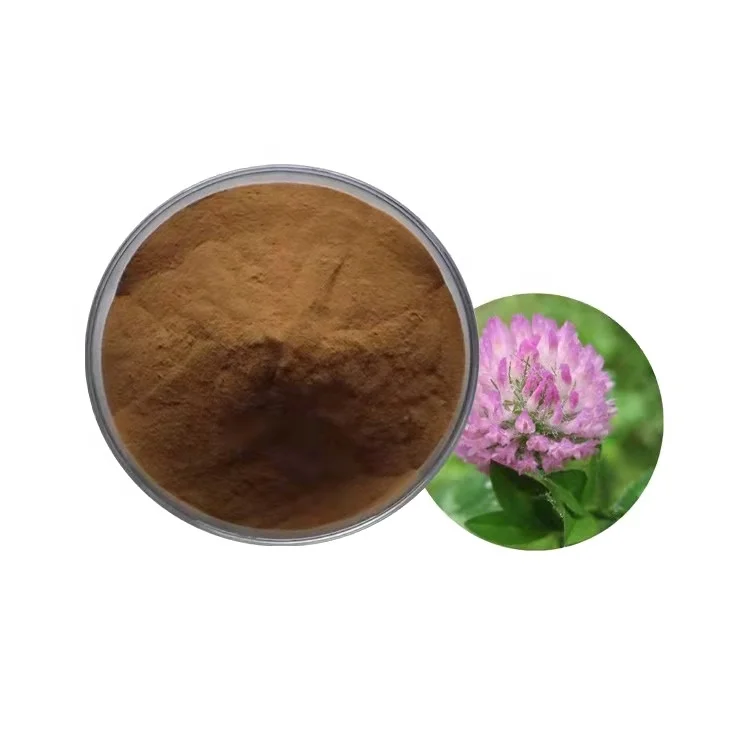 Factory Supply Hot Sale Pure Natural Herbs Red Clover Extract Trifolium  Pretense Extract Powder