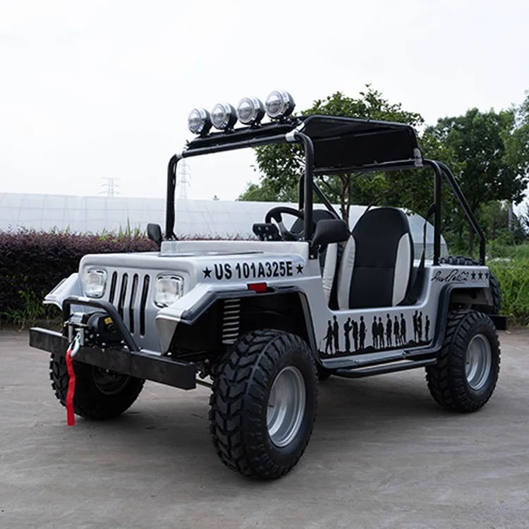  Китай горячая продажа бок о 4x4 электрическая Багги