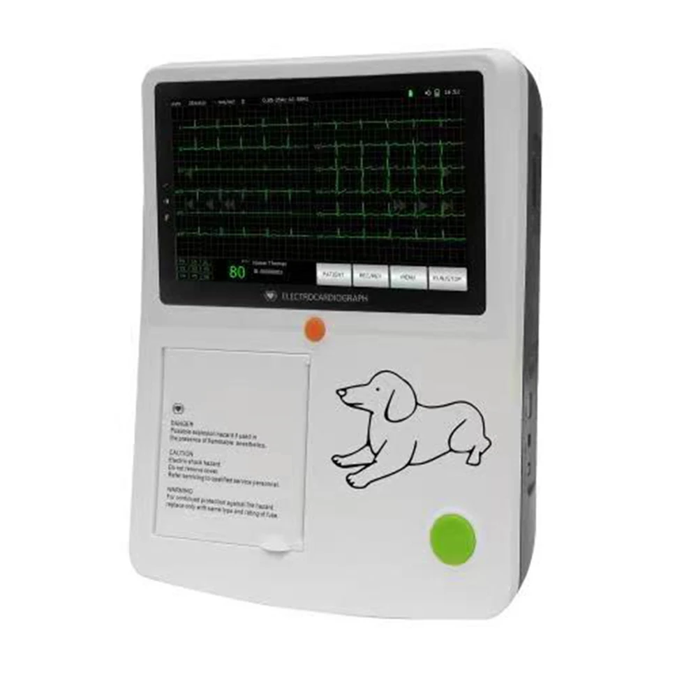 Veterinary ECG monitor Animal heart monitor ECG machine for pet use