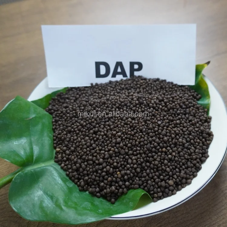 Best Quality Dap Fertilizer / Fertilizer Diammonium Phosphate 18 46 00 Fertilizer