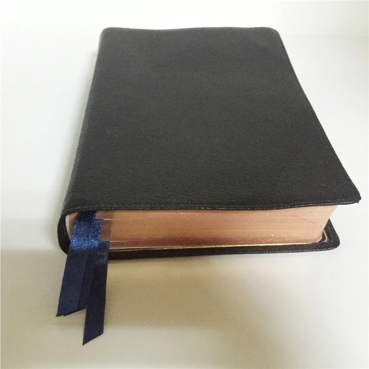 OEM Cheap Photo Book Printing Mini Bible Promise Keychain History Devotion