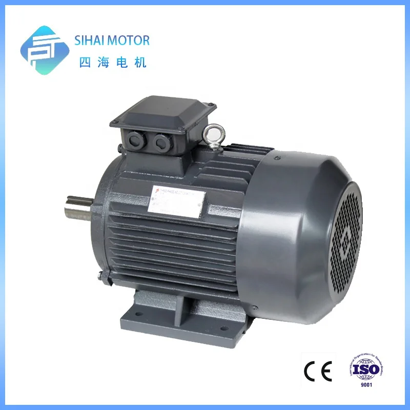 YE2 series 2 pole cast iron three phase induction 15 kw motor