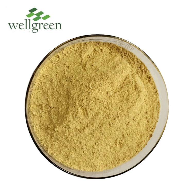 
High Quality Certified 1% ginger root extract Gingerol Water Soluble Juice Food additive Fresh Organic Ginger Extract Powder 