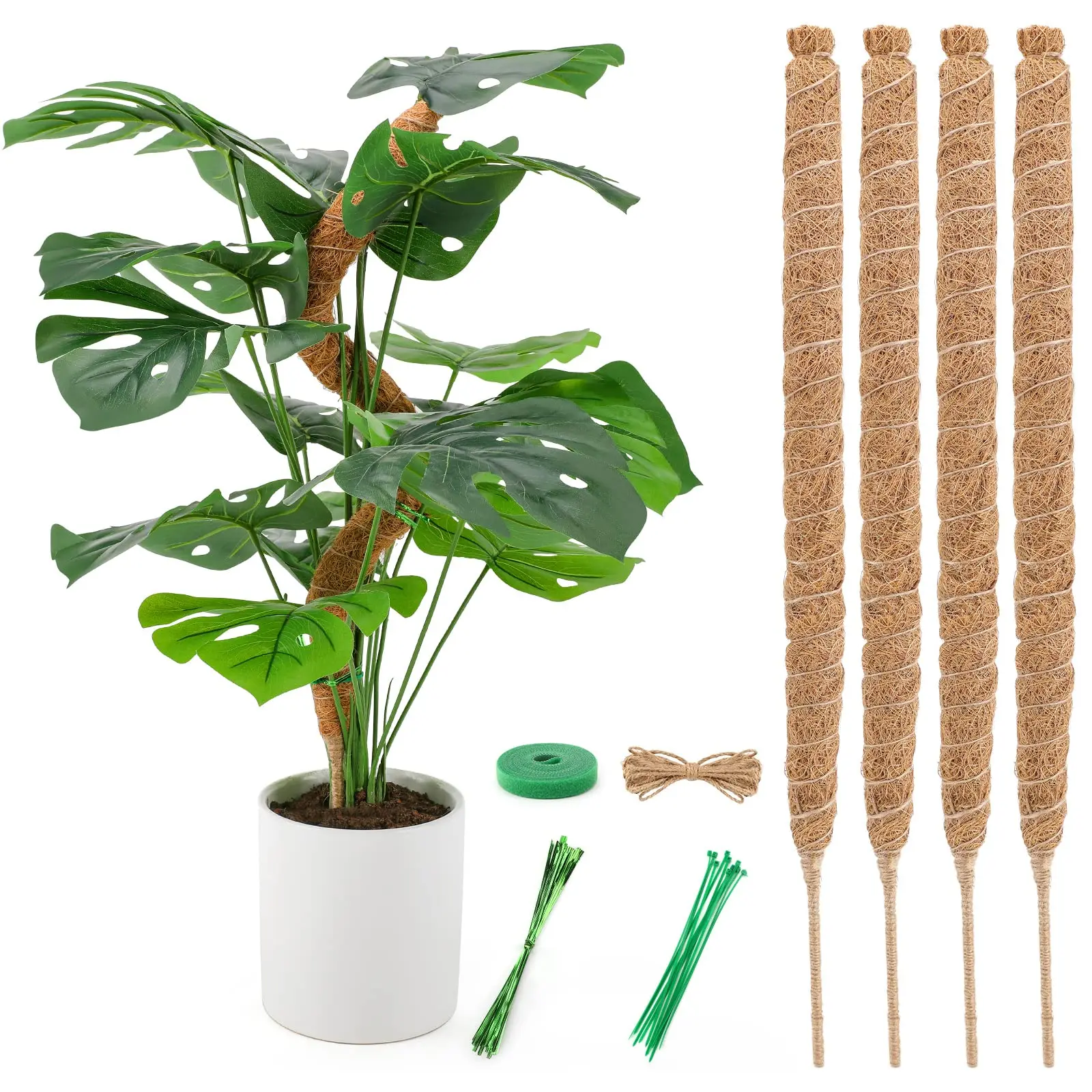 Моховая стойка для растений Monstera гибкая подъема в помещении