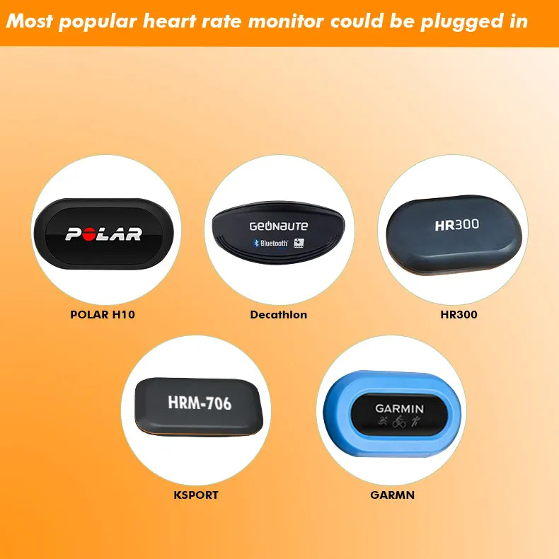 Custom Logo Heart Rate Strap Adjustable Horse Heart Rate Belt Work With Popular HR Monitors