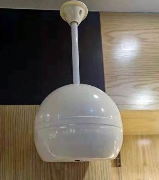 professional audio speaker for indoor installation 100V 5 inch coaxial speaker 20 - 40W hanged plastic speaker