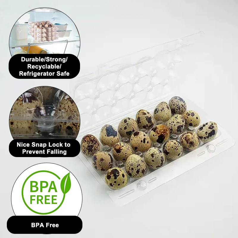 Plastic Quail Egg Cartons 18 Holes Quail Egg Tray 18 Quail Eggs Tray Manufacturer
