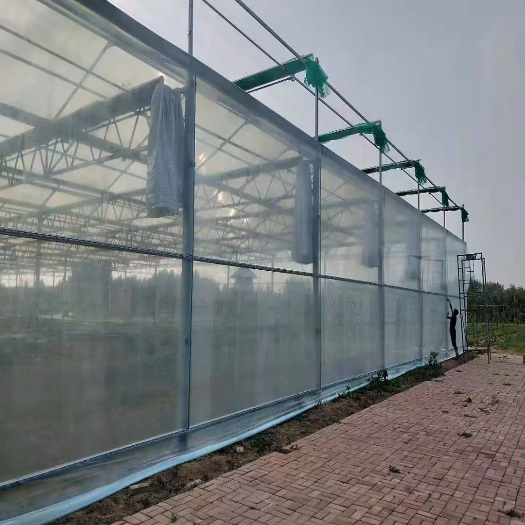 Photovoltaic Solar Panel Glass Greenhouse For Tomato And Cucumber