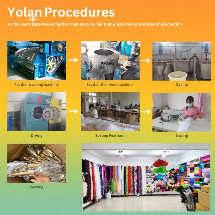 Yolan Procedures.jpg