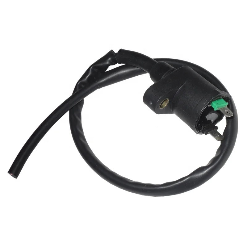 Tricycle spare parts cargo trike 125cc TITAN99 E - STORM CARGO 125 CARGO125 Motorcycle Ignition Coil