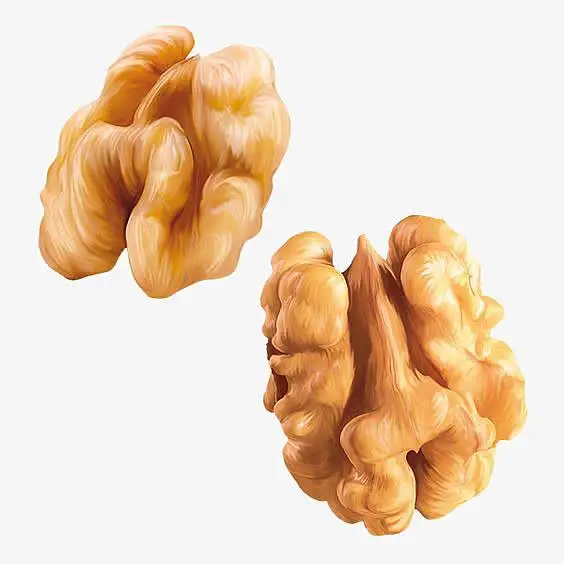 2024 walnut wholesale kernel walnut Factory price Food supplements walnuts  peptide