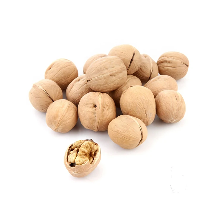 
 Специальная распродажа, 100% натуральный органический орех, профессиональный самый популярный китайский Орех с ракушкой  
