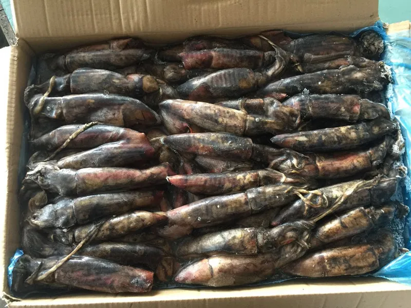 Frozen Glitter Black Squid Ring Frozen Squid Ring Cheap Price Black Squid for Market