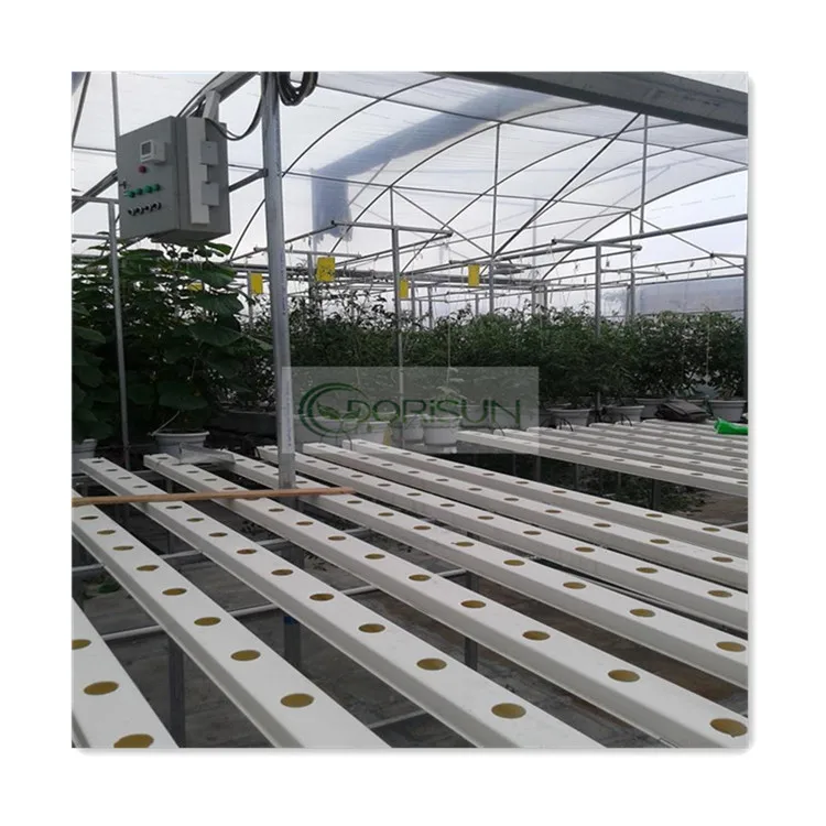 Factory Direct Sale Complete Agricultural Green House Vertical Farm Hydroponics Cucumber Nft System