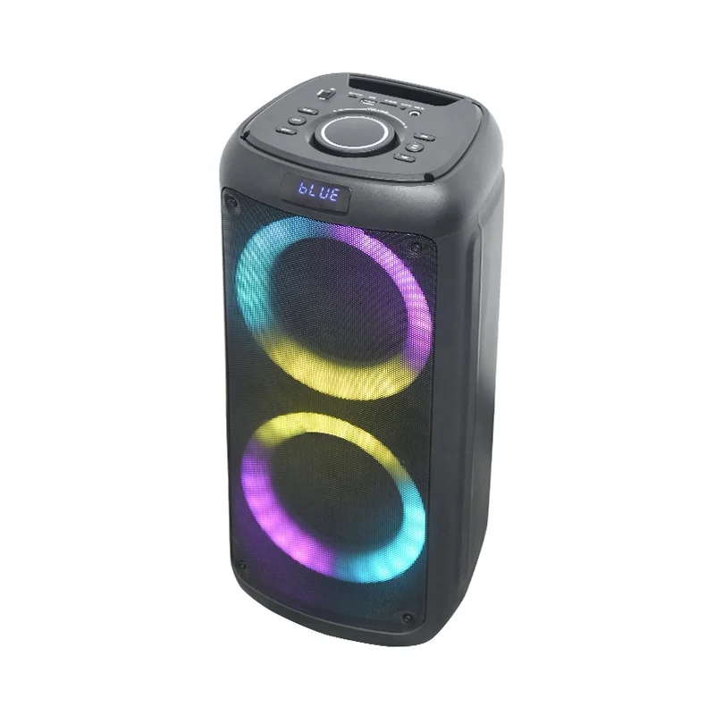 2024 Temeisheng TMS-613 Dual 6.5 Inch 10W RMS karaoke machine with LED light sound speaker echo show party box for Gathering