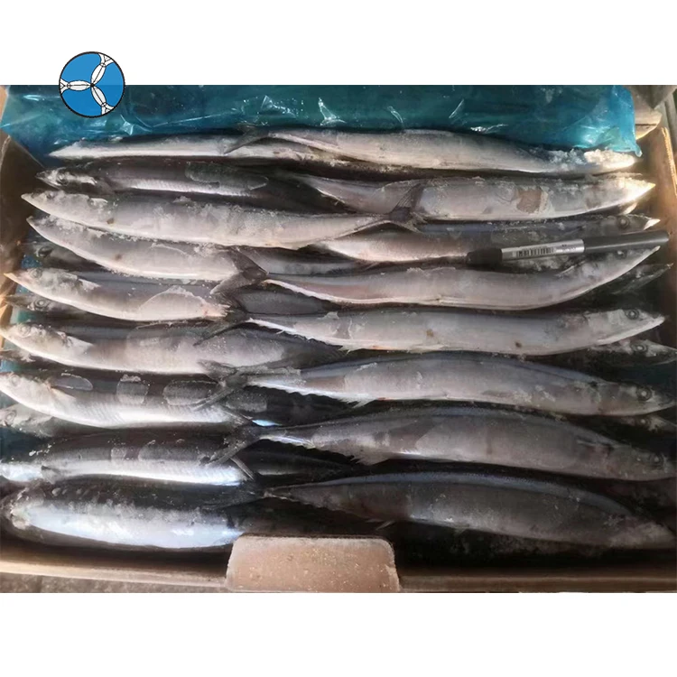 New Goods Frozen Pacific Saury SANFENG Wholesale Whole Round Pacific Saury Fish For Export