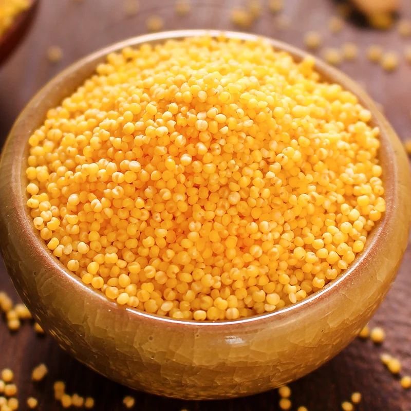 Chinese Organic Natural Grain Glutinous Yellow Millet