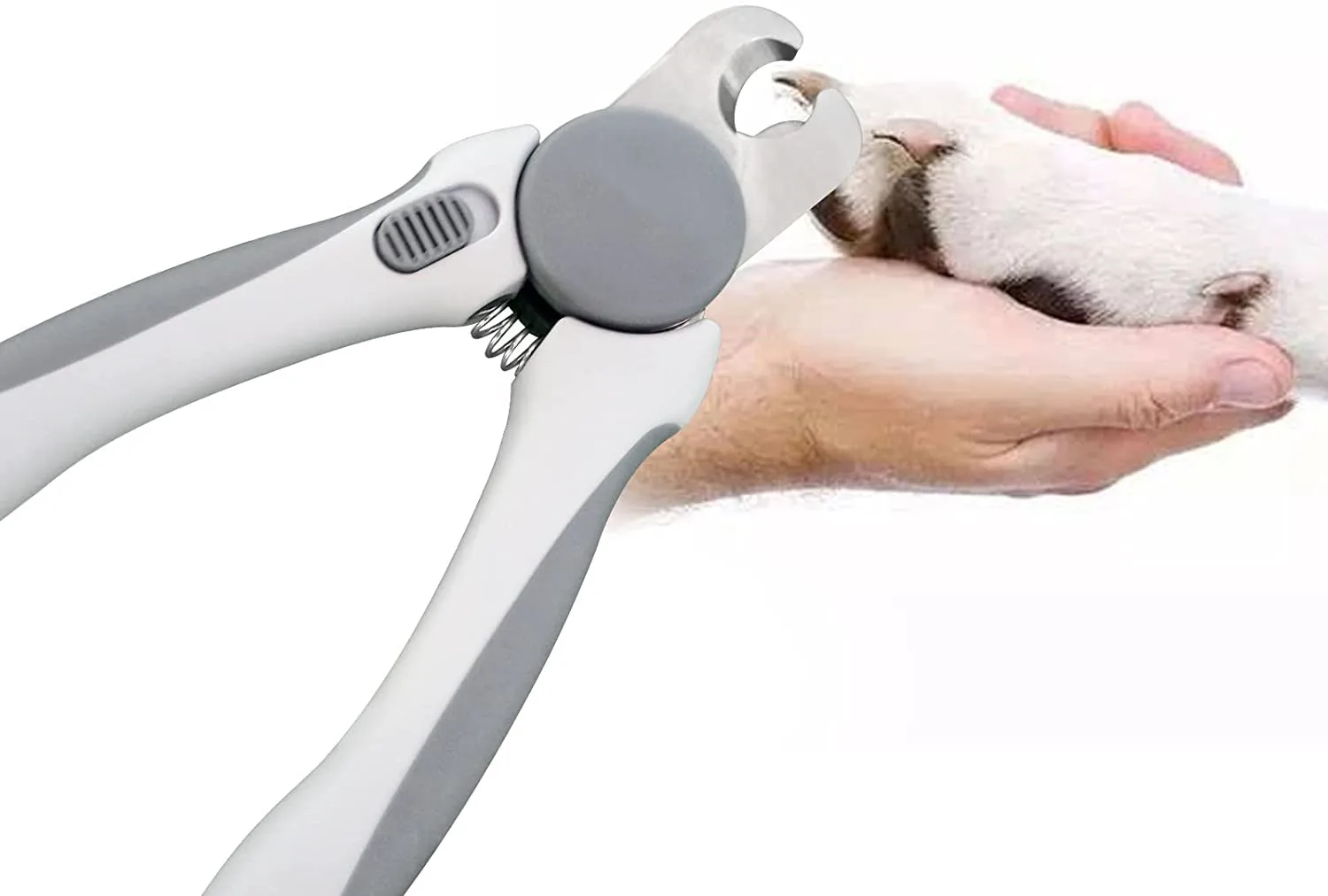 Professional Stainless Steel Pet Dog Nail Clipper and Trimmer with Safety Guard to Avoid Over-Cutting Nails & Free Nail File