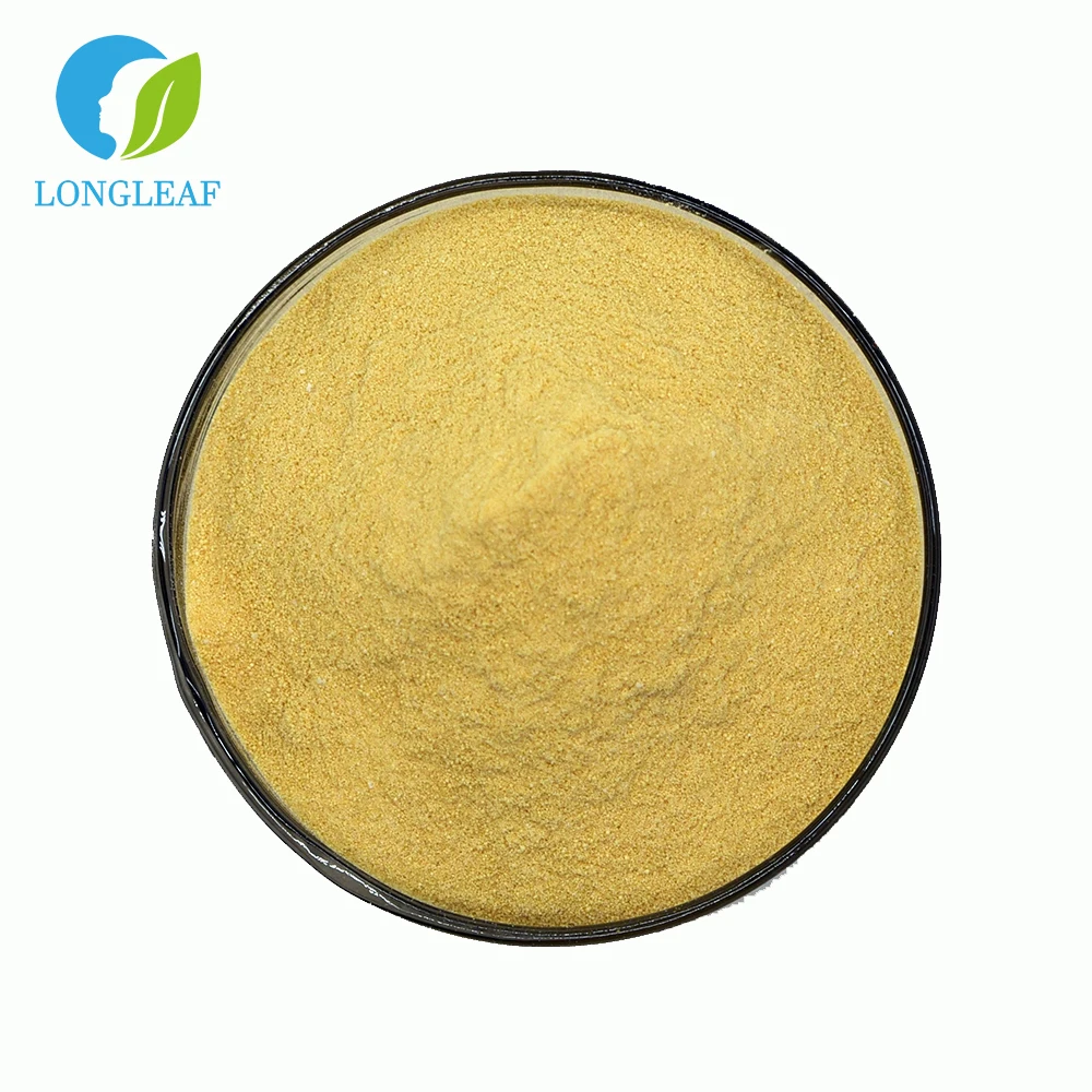 Factory Wholesale Price Lysine Powder DL Lysine Base