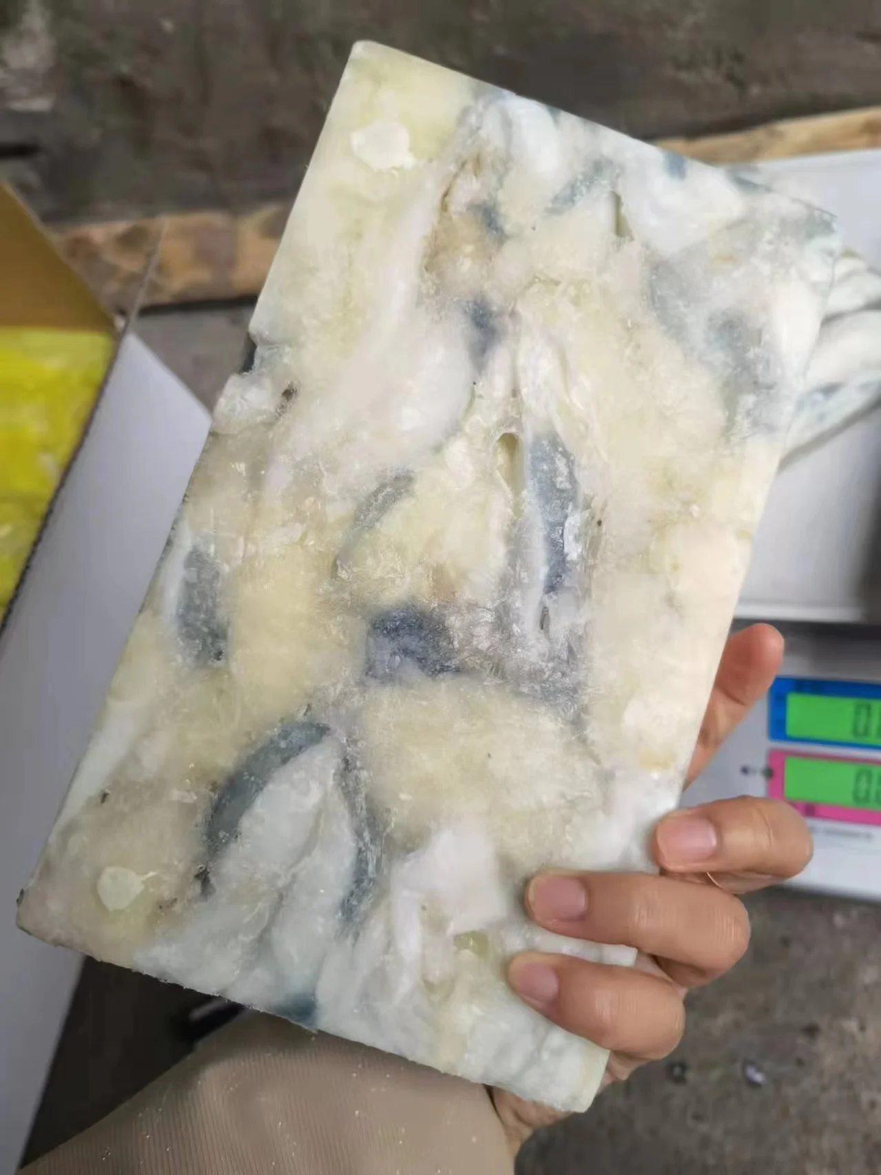 salable  illex squid roe from China