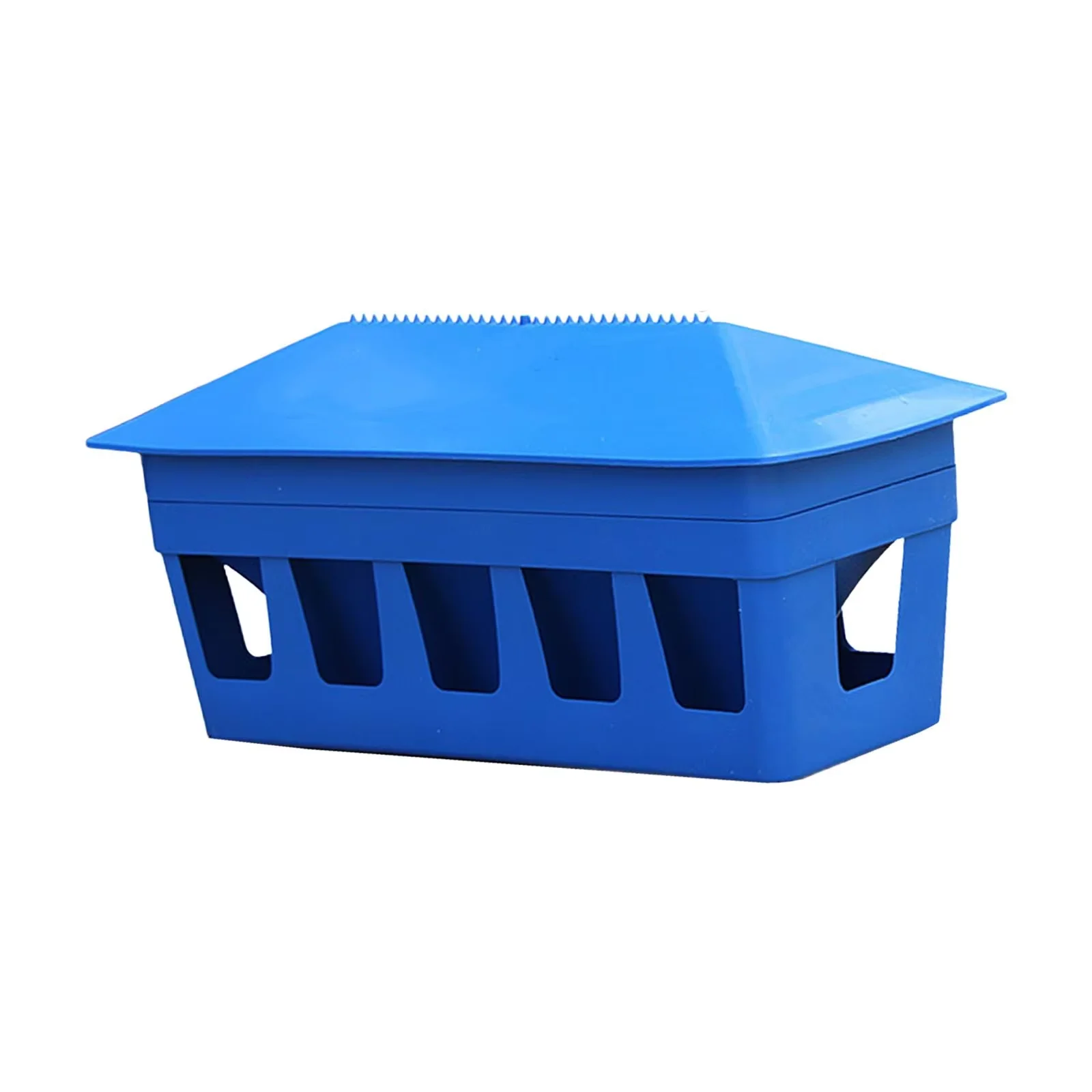 Plastic Automatic Pigeon Feeder Lake Blue Chick Bird Parrot Food Box Various Sizes Poultry Feeding Equipment