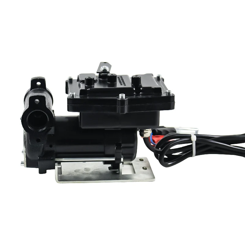 Electric DC12V/24V Explosion-Proof Petrol Fuel Dispenser Diesel Gasoline Transfer Pump