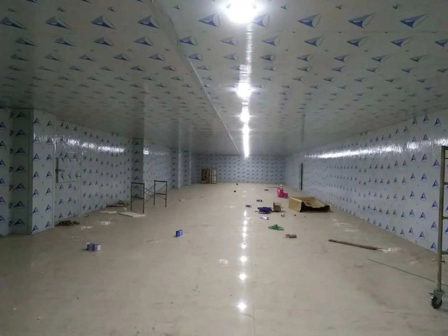 Walk in Blast Freezer  Room Chiller Cold Room Solar Powered Cold Store Container Industrial Refrigerator For Meat