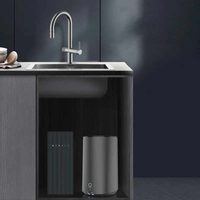 Instant hot and cold water dispenser purifier fresh sparkling water maker with CO2 Gas ice cooling water for home